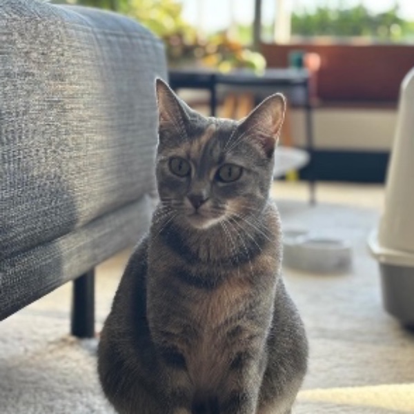 Luna