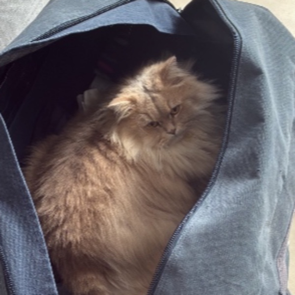 Photo de Moka