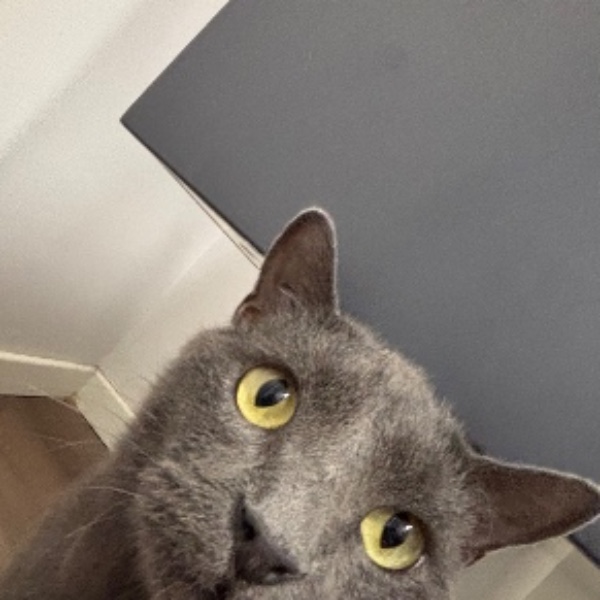 Photo de Jacko