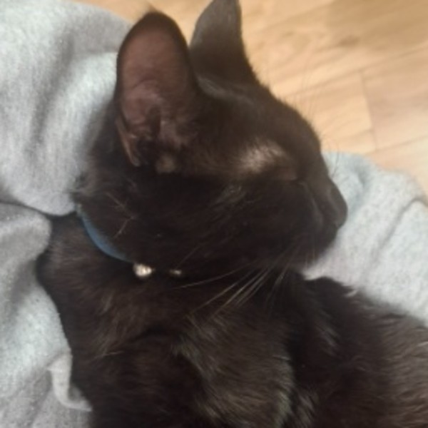 Photo de ANAKINE