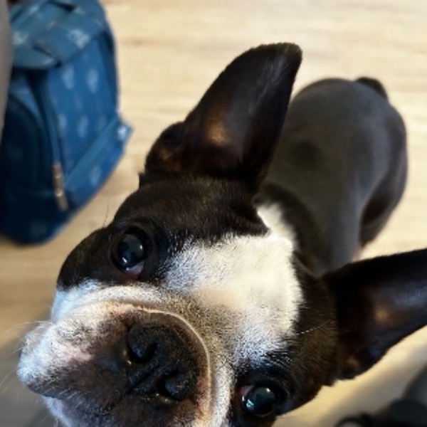 Photo de Oscar