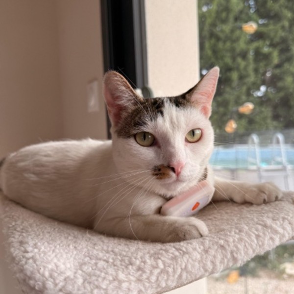 Photo de Minette