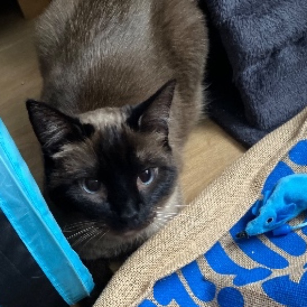 Photo de Sushi