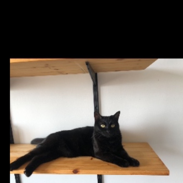 Salem
