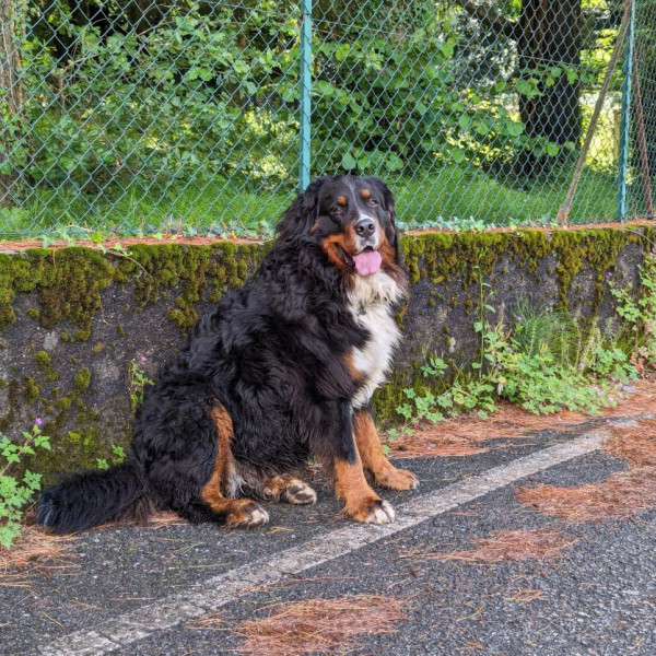 Photo de Athena