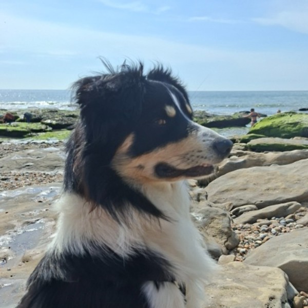 Vano