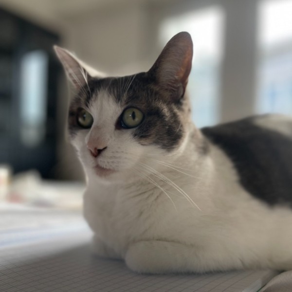 Lucy