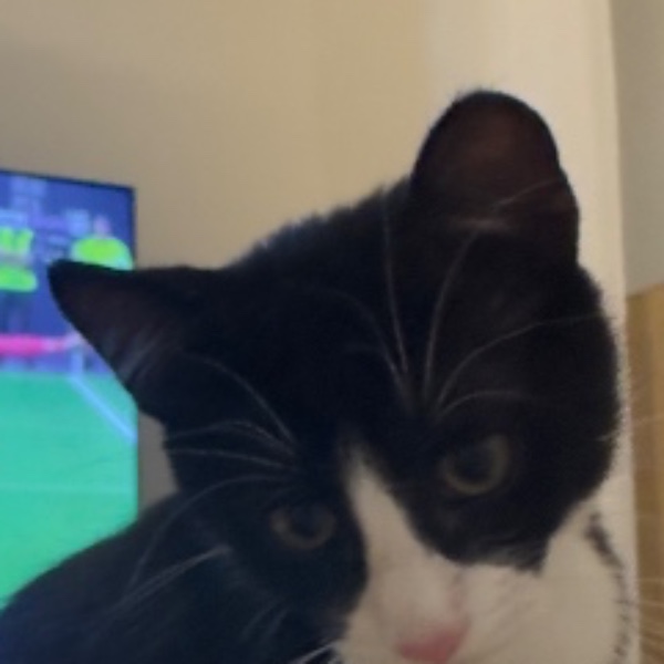 Photo de Mélo