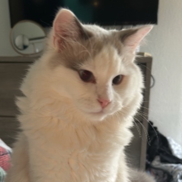 Photo de Aïko