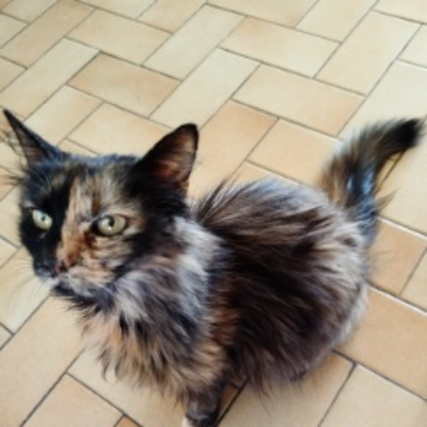 Poupette