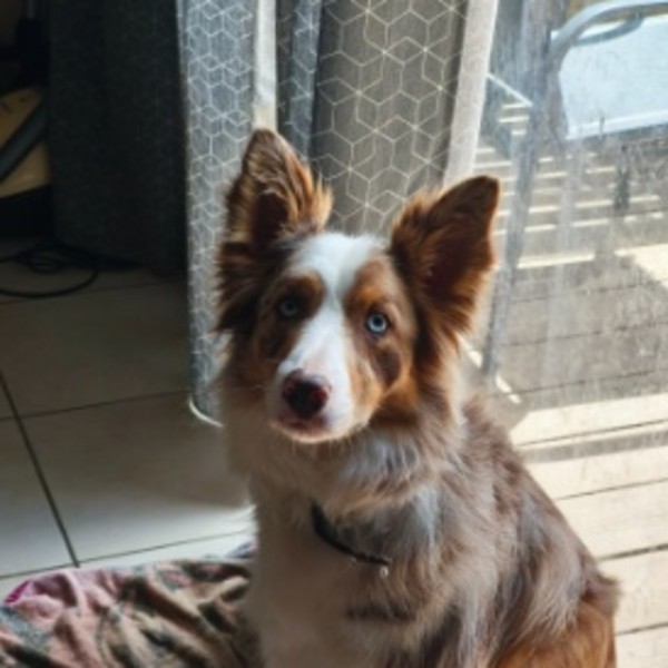 TWIX