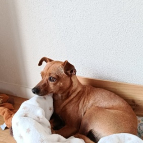 Photo de Bella