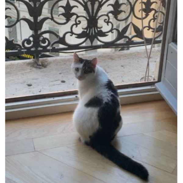 Kiki