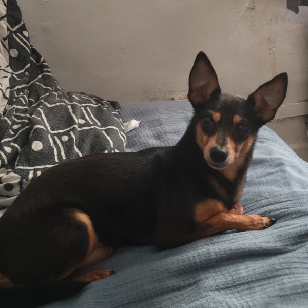Photo de Lucky