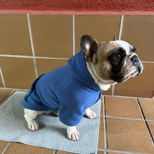Photo de Barnabé