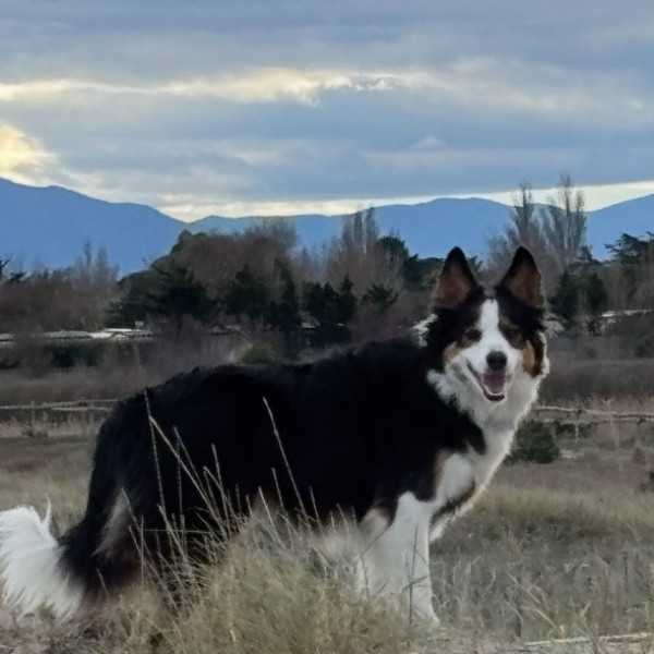 Photo de Roxy