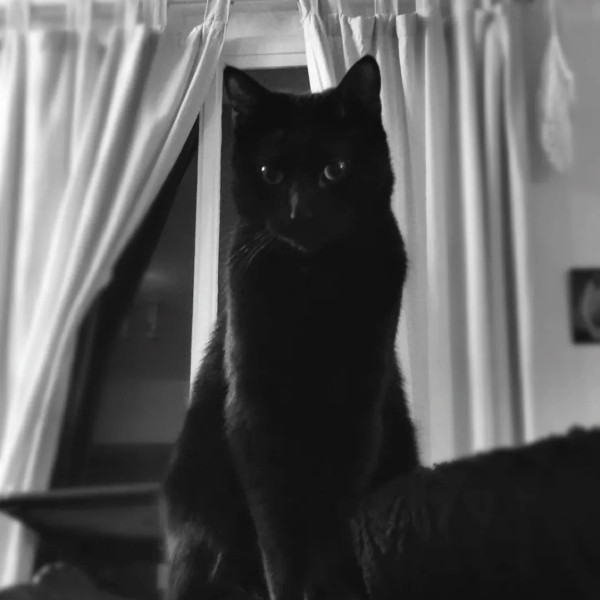 Kiki