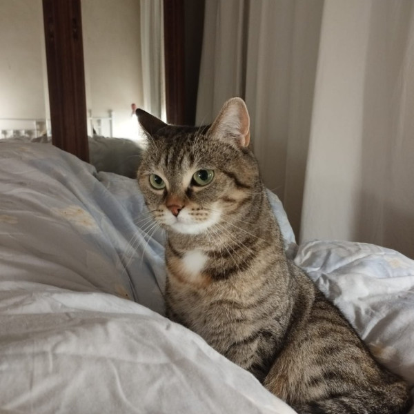 Kiara