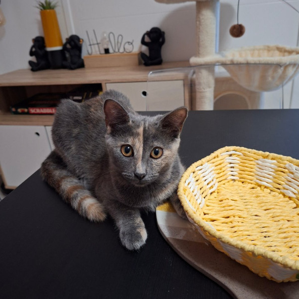 Photo de Baya