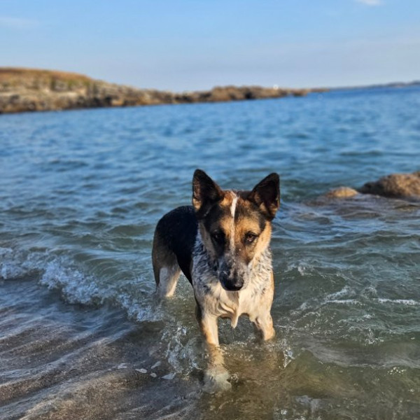 Photo de Pancho