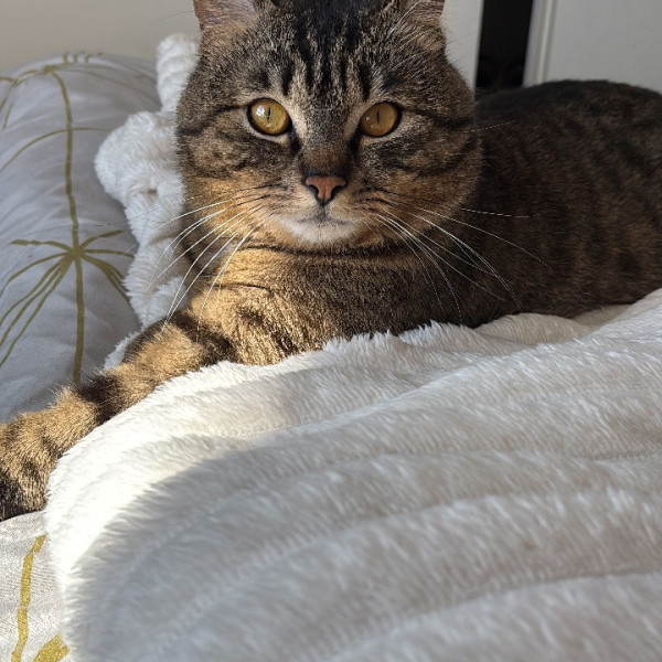 Gus