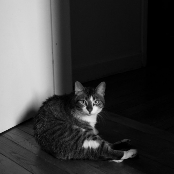 Photo de Shanka