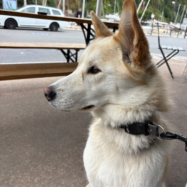 Photo de Vaya