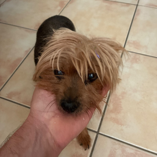 Photo de Fleur