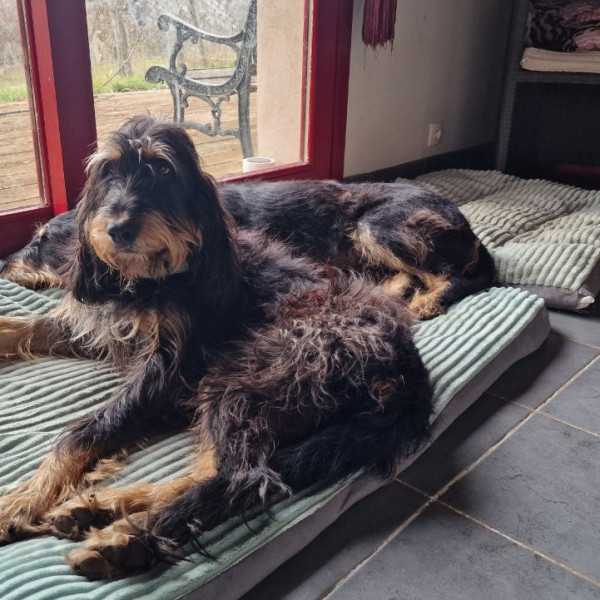 Photo de Argos