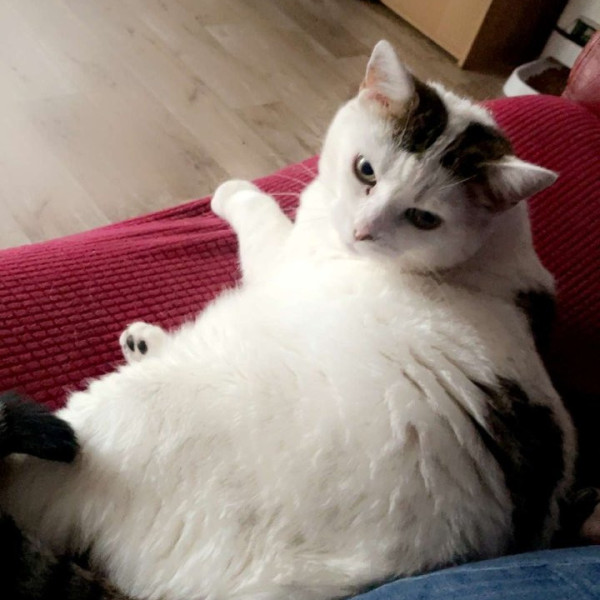 Yumi