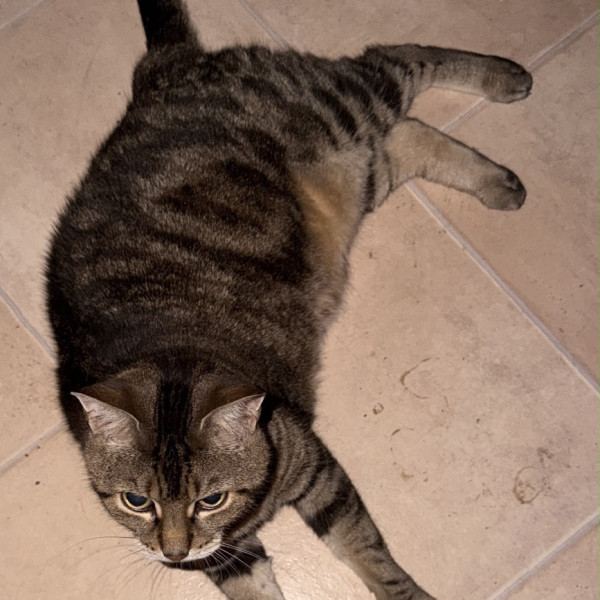 Photo de Eclair
