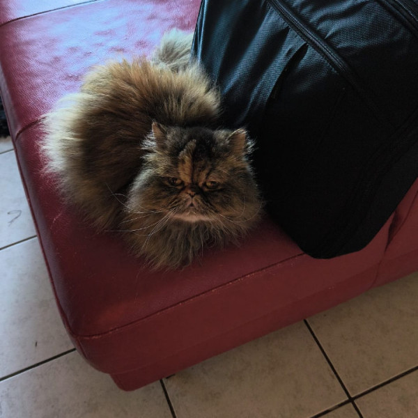 Photo de Lylie