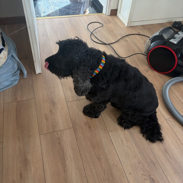 Sam