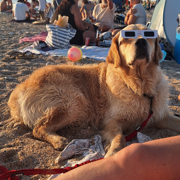 Photo de Vito