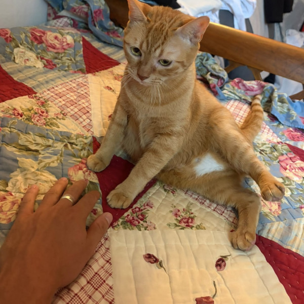 Mimi