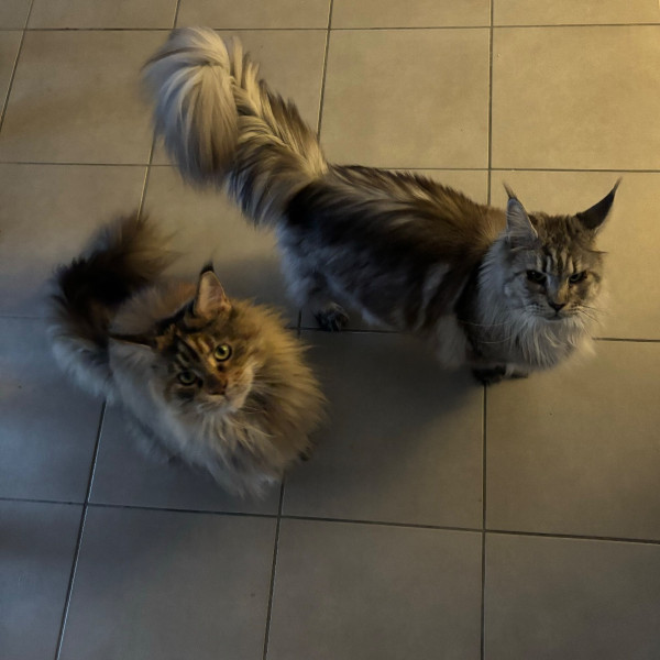 Nono & Nini