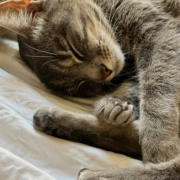 Mia