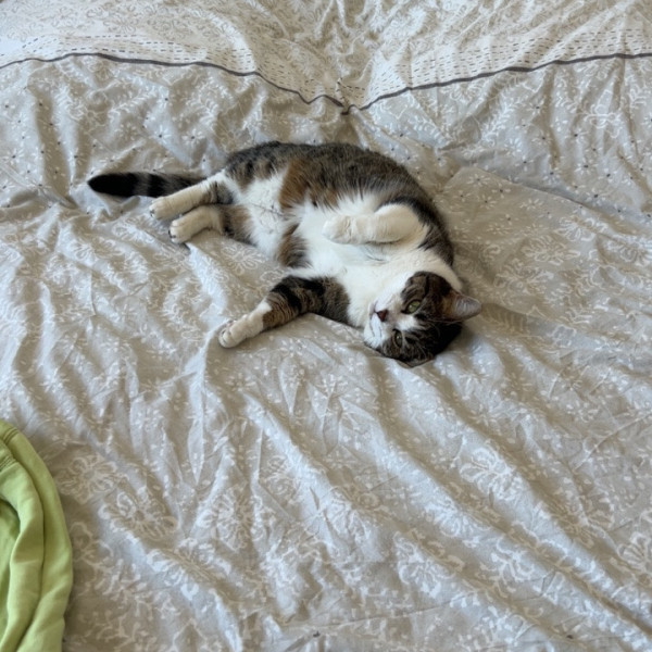 Kiara