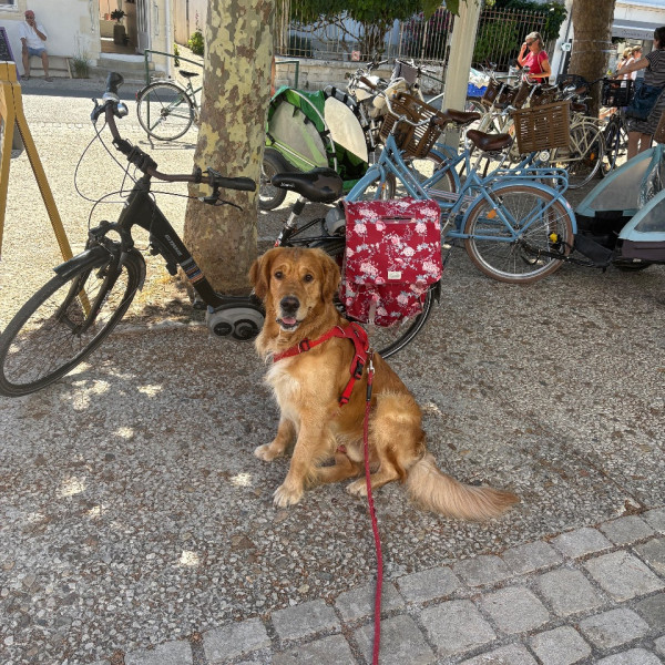 Photo de Volnay
