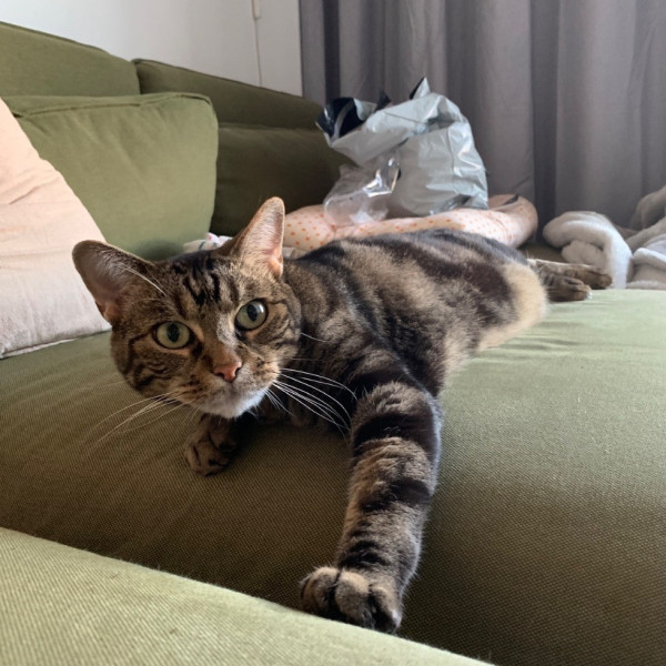 Photo de Mimi