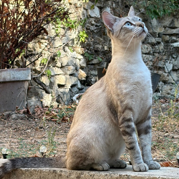 Photo de Lili