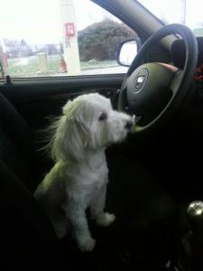 Photo de FANTASIO dit PLUME