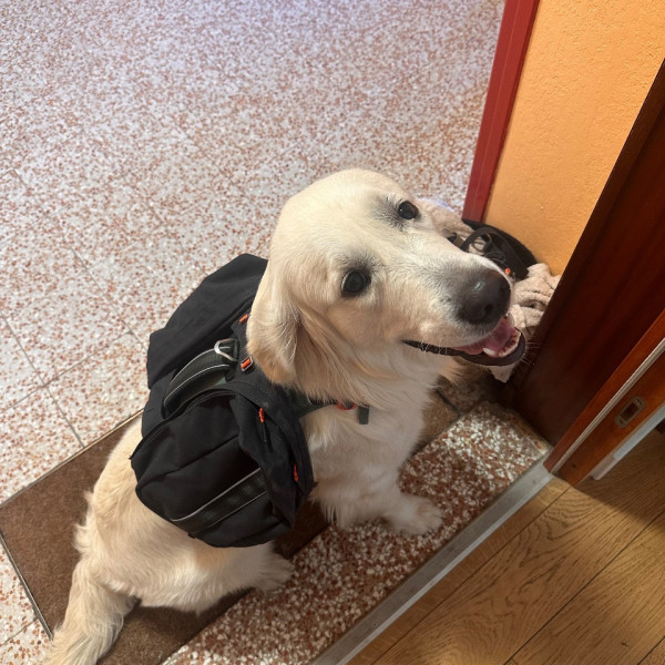 Alba