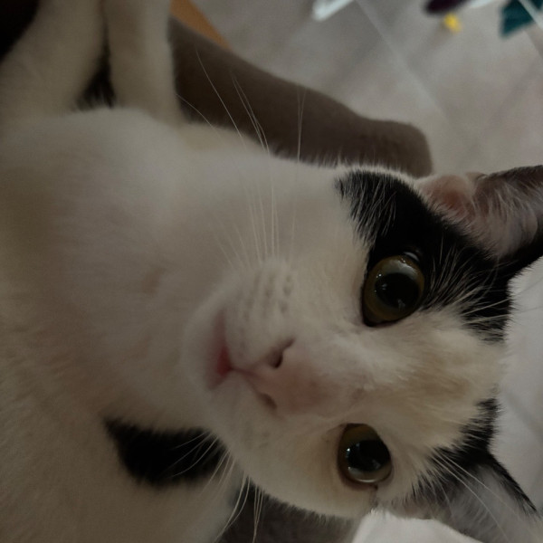 Osiris