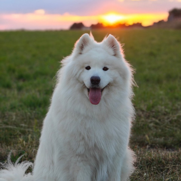 Photo de Yuki