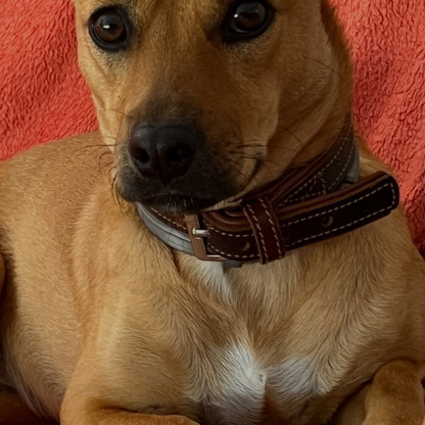 Photo de TARA
