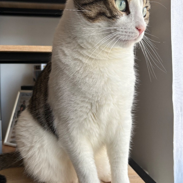Tom