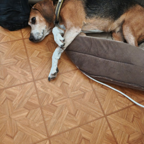 Zoé