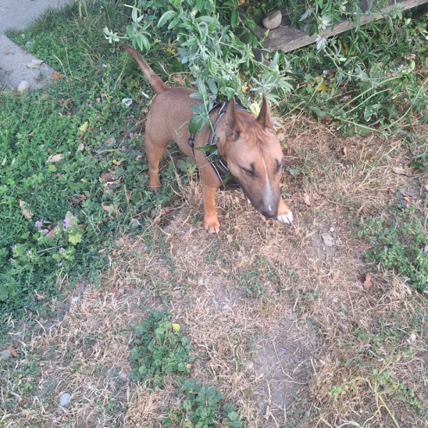 Photo de Ugo