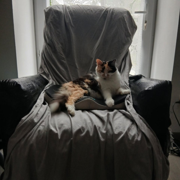 Photo de Suki